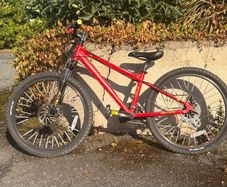 Carrera Blast Junior Mountain Bike 24