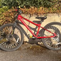 Carrera Blast Junior Mountain Bike 24