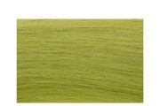 Micro Ring Hair Extensions 20" Double Drawn I Tip Remy Hair 25g - # Green