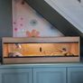 Bearded dragon with terrarium and full setup Image 4