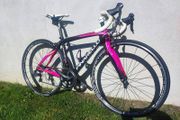 Pinarello carbon