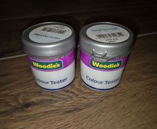 Woodie Paint Sample Duck Egg