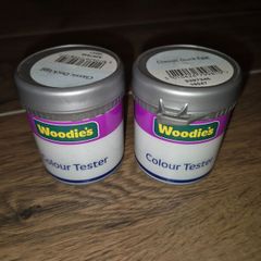 Woodie Paint Sample Duck Egg
