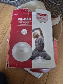Gym/Pregnancy Ball