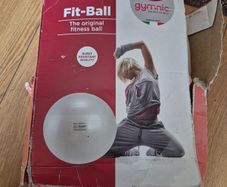 Gym/Pregnancy Ball