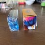 Pokemon TCG official Deck Boxes Image 7