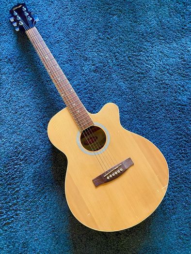STAGG Electro Acoustic + Gig bag