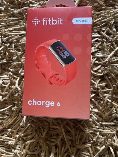 Google Fitbit, fitness and lifestyle tracker.