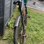 Bentini Raptor 26 Image 8