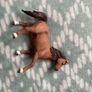 horse toys Image 4