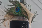 fascinator