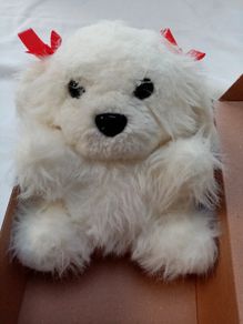 Soft Toy Dog in a Box