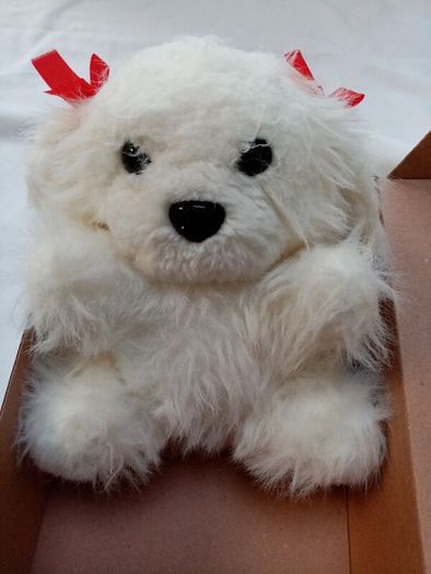 Soft Toy Dog in a Box