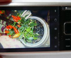 Kodak EasyShare digital camera - 14 Megapixel 5x optical zoom