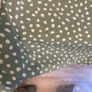 Blouse Image 5
