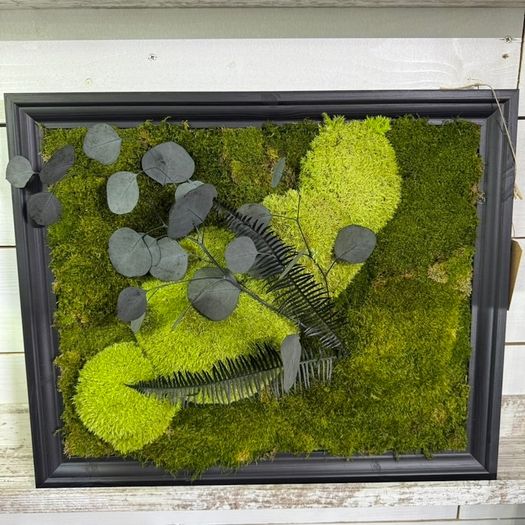 Classic Beauty 40x50cm - natural moss