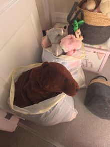 teddy's