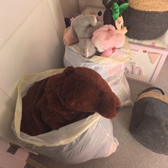 teddy's