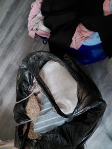 womens clothes