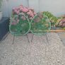 garden Image 3