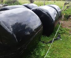 Bales