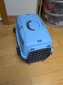 Cat travel box