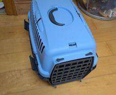Cat travel box