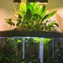 Fluval Venezia 190 Riparium (Going Concern) Image 10