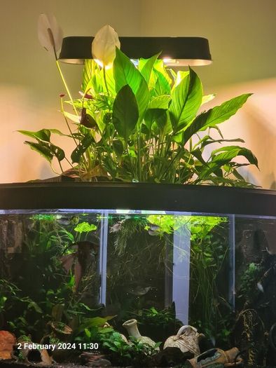 Fluval Venezia 190 Riparium (Going Concern)