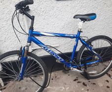 Giant mountain bike make an offer