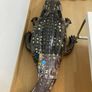 Inflatable crocodile Image 2