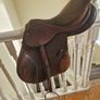 St Lourdes jump saddle Image 4
