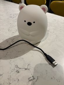 Squishy Bear night light
