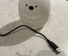 Squishy Bear night light