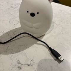 Squishy Bear night light
