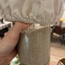 Organic sourdough starter Image 2