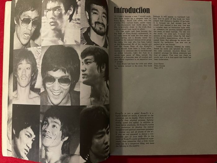 Bruce Lee King of Kung Fu