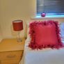 Beautiful Red Cushions Image 9