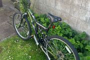Jeep bike