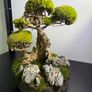 Bonsai Tree with natural moss 45x35cm Image 2