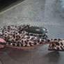 womens sandals Image 5