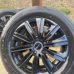 alloys