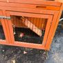 Rabbit pet cage Image 4