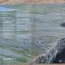 Rare - The Ecstasy of Angus - Liam O'Flaherty LPs 1978 Image 3