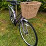 Ladies Appolo Haze ( Fully Serviced ) Image 5