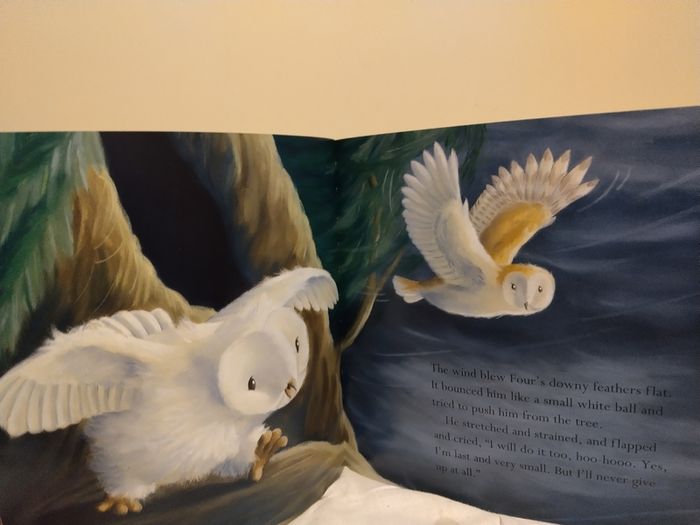The Littlest Owl by Caroline Pitcher