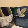 The Littlest Owl by Caroline Pitcher Image 7
