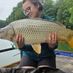 Kinga95@