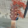 Semi Acoustic Guitar Image 3