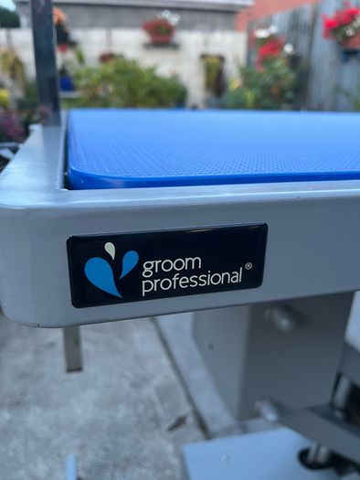Groom Professional Plata Electric Dog Grooming Table
